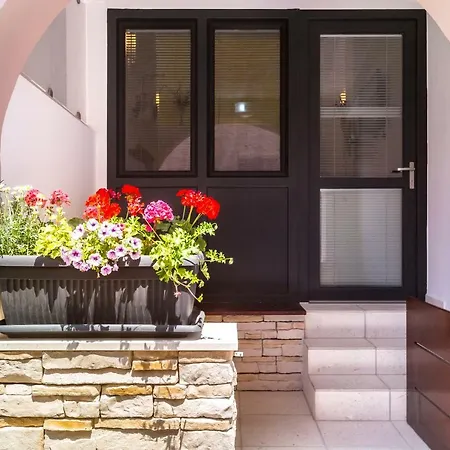 Apartman Biba Centar
